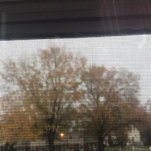 Meet your Posher, Faizullah